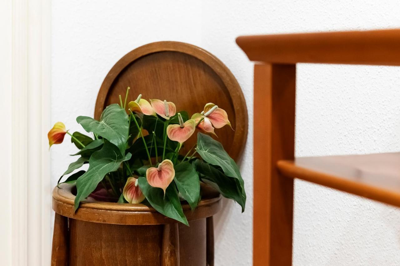 Apartmán La Picacena Cuenca  Exteriér fotografie